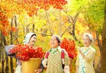 人生、いろどり.jpg