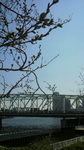 相生橋.jpg