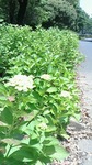 s_2018051410340000.jpg